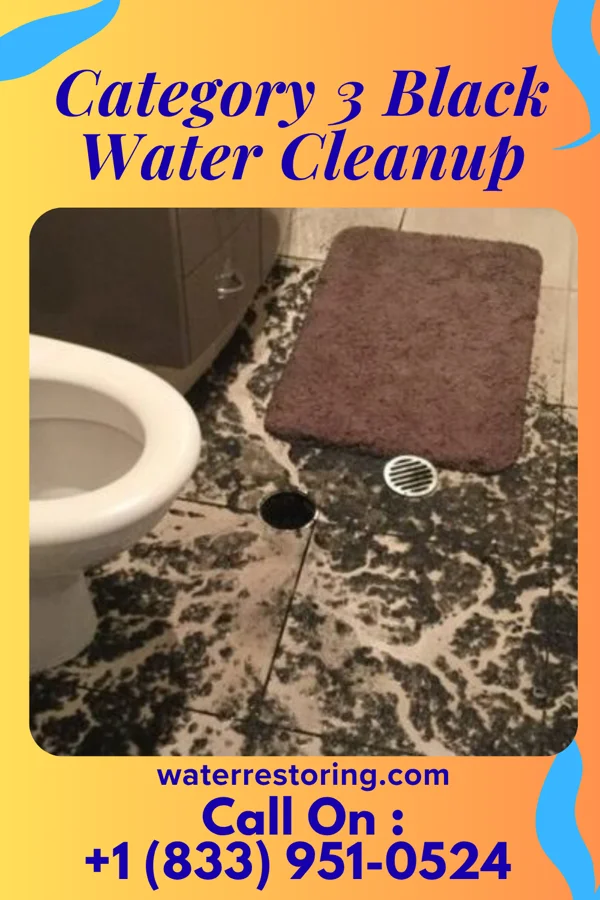 Category 3 Black Water Cleanup in Montrose, MN