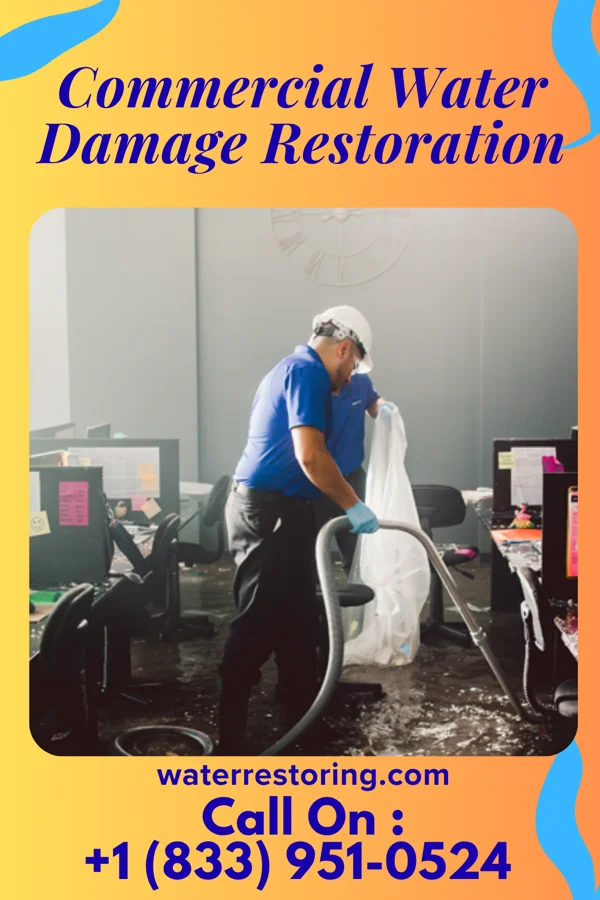 Commercial Water Damage Restoration in Montrose, MN