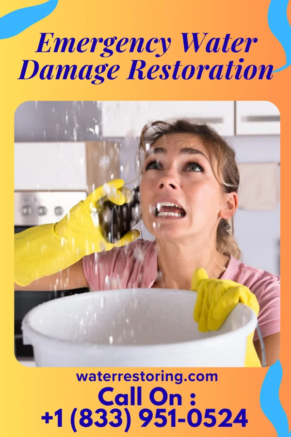 Emergency Water Damage Restoration in Montrose, MN