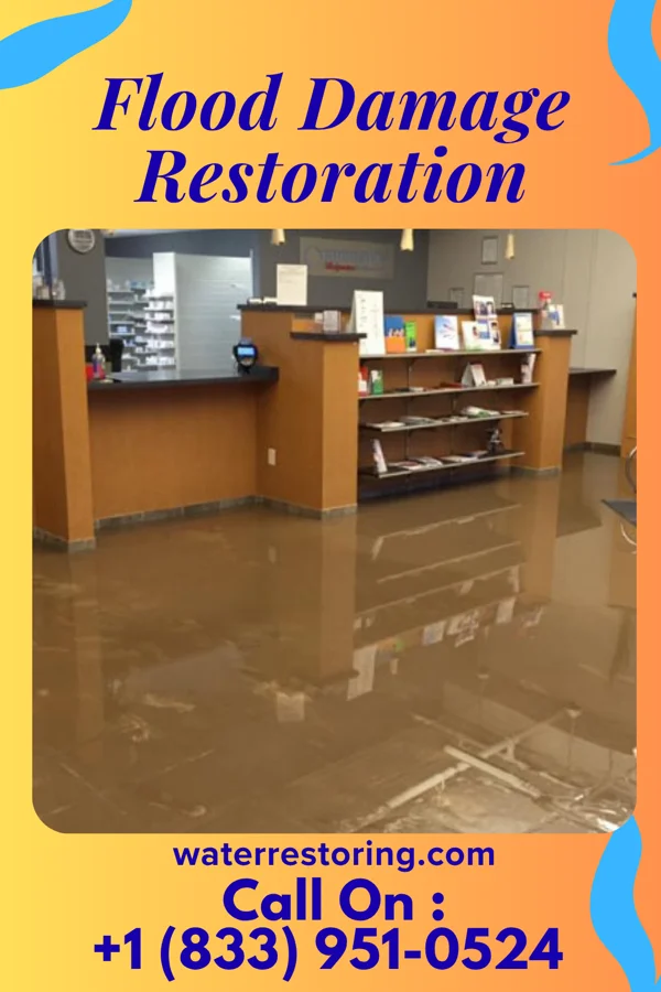 Flood Damage Restoration in Montrose, MN